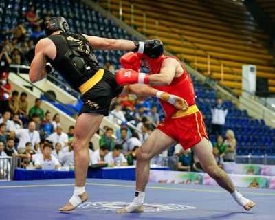 wushu game